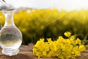 زيت الخردل : كنز من فوائد للصحة والجمال