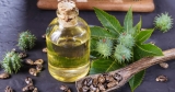زيت الخروع: فوائده واستخداماته المتعددة